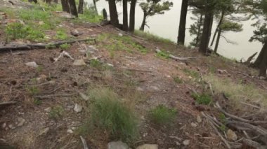 Hiking Trail Nehri yakınında