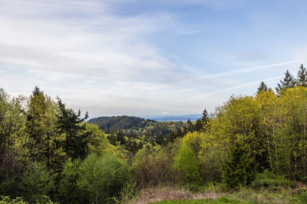 Yemyeşil Pacific Northwest manzara