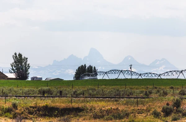 Campos de Riego cerca de las Montañas Teton — Foto de Stock