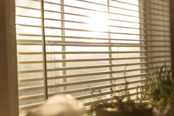 Güneş ışığı perdelerden geçer.