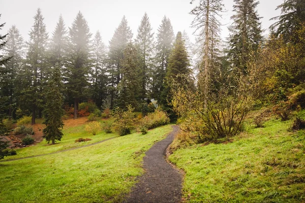 Pacific Northwest orman Park yolu — Stok fotoğraf