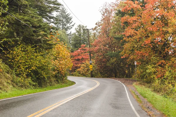 Conducir en otoño — Foto de Stock