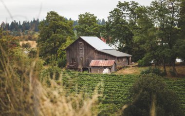 Kırsal Pacific Northwest Town çiftlik özelliği
