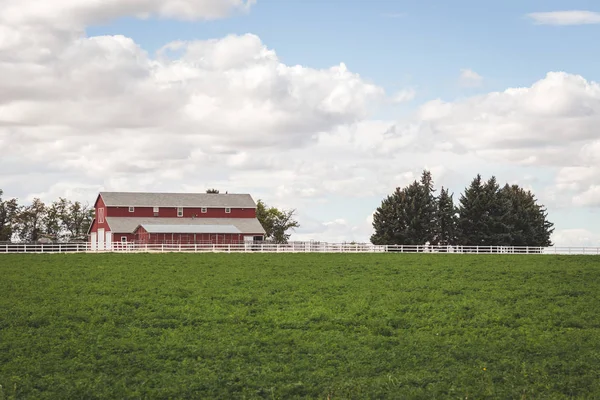 Boerderij in landelijk agrarisch gebied — Stockfoto