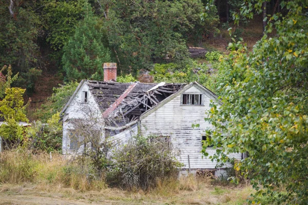 森林に覆われた地域で老朽化した家 — ストック写真