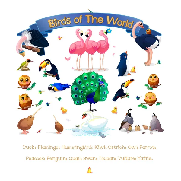 Cartel "Aves del Mundo". Serie de adición Inglés ABC Amusing Animals . — Archivo Imágenes Vectoriales