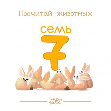  Yedi 7 card (