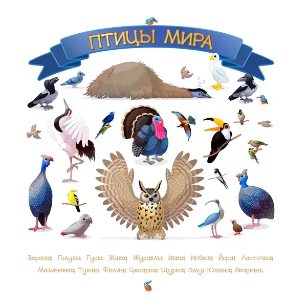 Plakat "Vögel der Welt". Serie russische abc amüsante Tiere. — Stockvektor