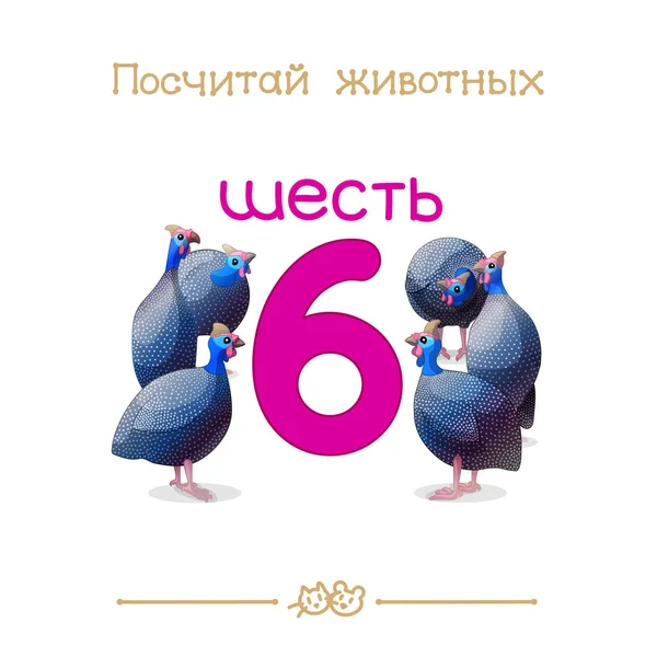 Six 6 card (Series of "Count the Animals"). Addition to series of Russian ABC "Amusing Animals". — Stock Vector