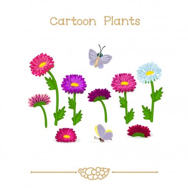  Plantae serisi çizgi film bitkiler: Aster