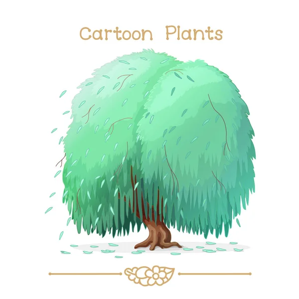 Plantae series cartoon plants: weeping willow — Stock Vector