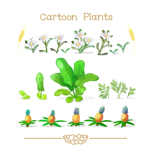 Plantae serisi çizgi film bitkiler: botanik ayarla — Stok Vektör
