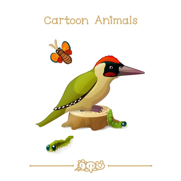 Animales de dibujos animados serie Toons: pájaro carpintero verde — Vector de stock