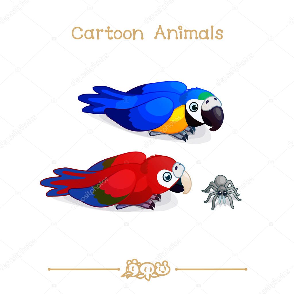  Toons series cartoon animals: ara parrots / macaw set