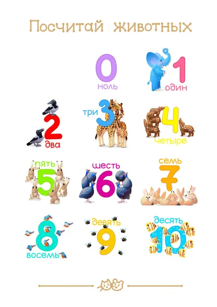 Series of "Count the Animals" 0-10 (all numbers in one poster). Addition to series of Russian ABC "Amusing Animals". — Stock Photo, Image