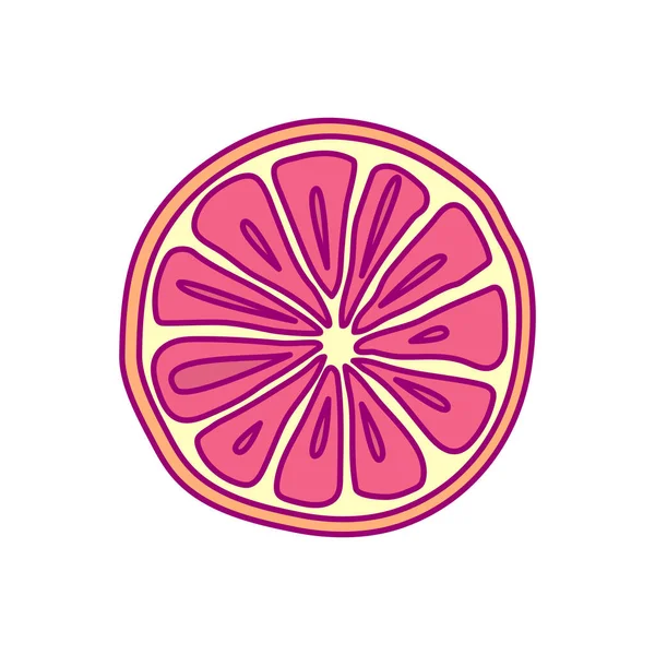 Vector Dibujado Mano Lindo Clip Frutas Arte Toronja — Archivo Imágenes Vectoriales