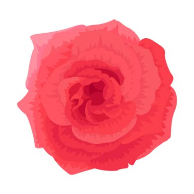 Beyaz izole arkaplandaki vektör gül kırpma sanatı