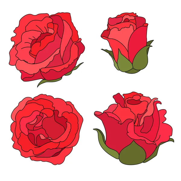 Векторное Искусство Цветок Розы Белом Изолированном Фоне — стоковый вектор