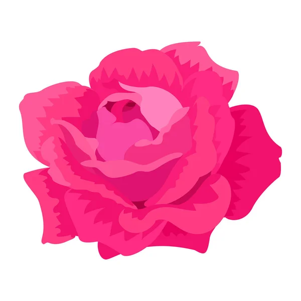 Vector Rosa Flor Clip Arte Blanco Aislado Fondo — Vector de stock