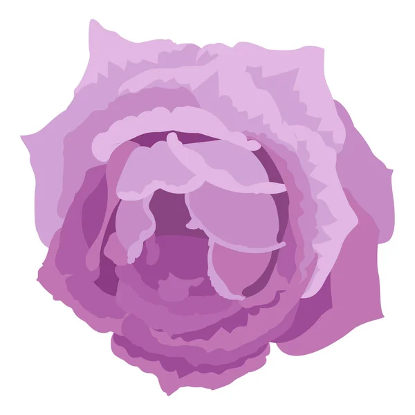 Vector Rose Flower Clip Art White Isolated Background — Stock Vector
