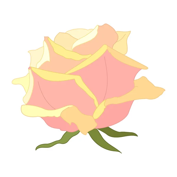 Vector Rosa Flor Clip Arte Blanco Aislado Fondo — Vector de stock