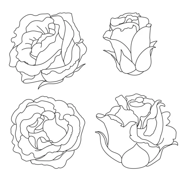 Vecteur Rose Fleur Clip Art Coloriage Livre Page — Image vectorielle