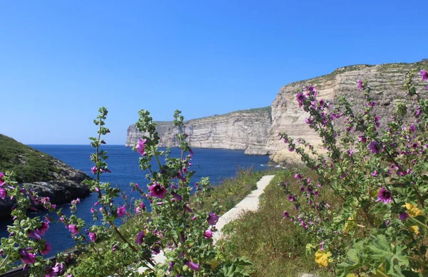 Cliffs Xlendi, Gozo, Malta Cumhuriyeti