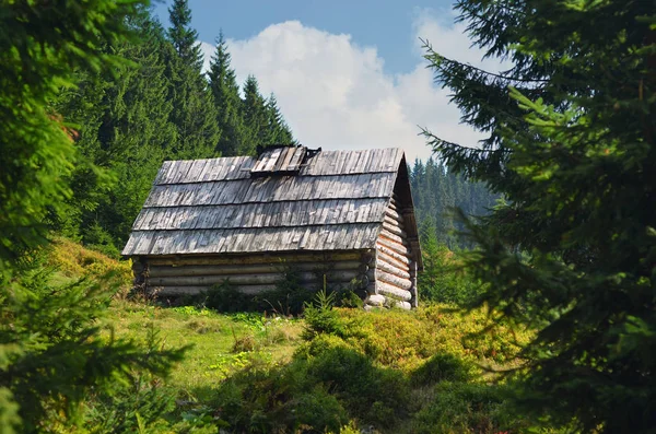 Hunting lodge in the Carpathian mountains