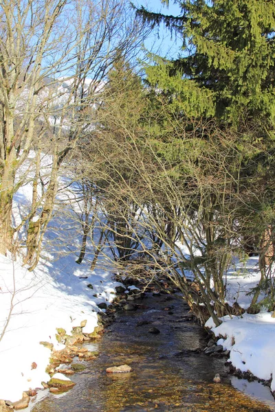 Winterlandschap met bos en rivier — Stockfoto