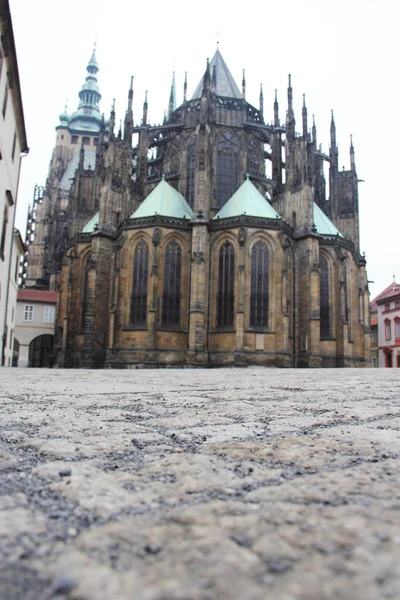 聖ヴィタス大聖堂プラハ — ストック写真