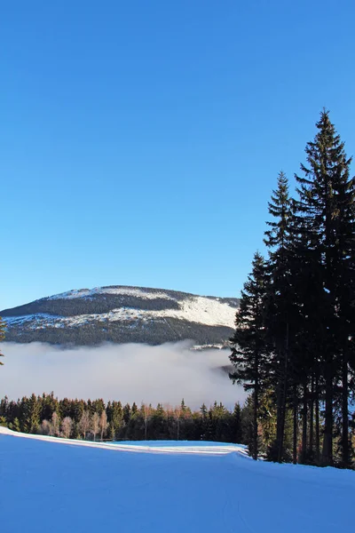 Slope on the skiing resort Stock Picture