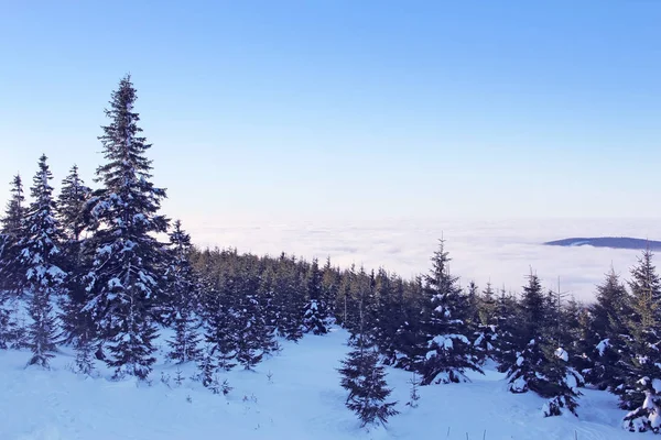 滑雪场上的斜坡 — 图库照片