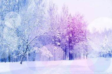 Kar altında kış parkı