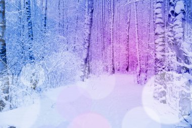 Kar altında kış parkı