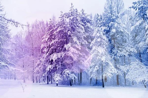 Kar altında kış parkı