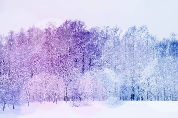 Kar altında kış parkı