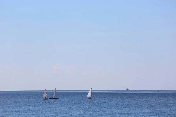 Volkhov river in summer — Stock Photo, Image