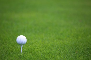 Golf Topu Tee 'de