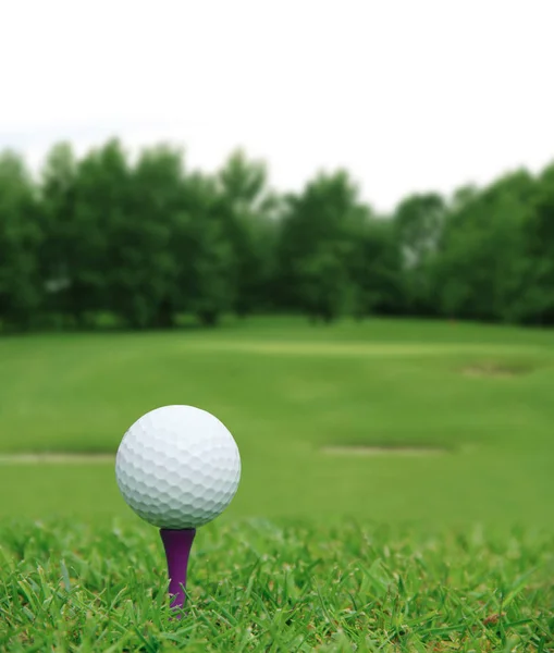 Golf ball on course — Stock Photo, Image
