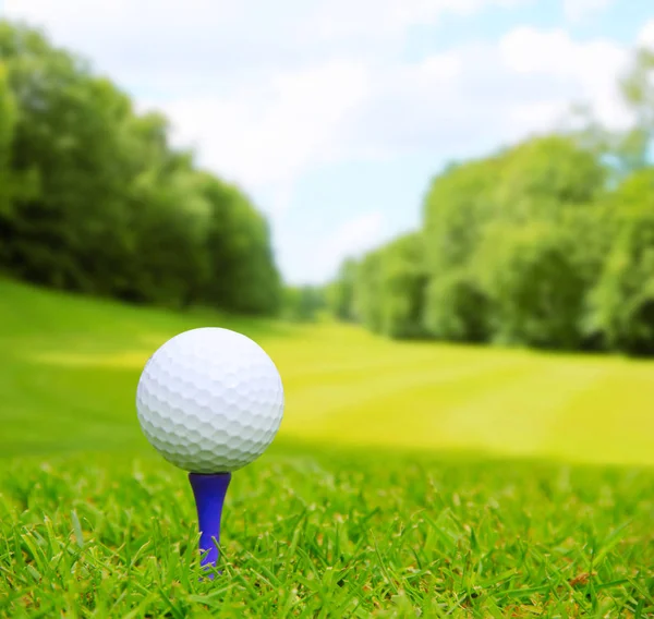 Golf ball op cursus — Stockfoto