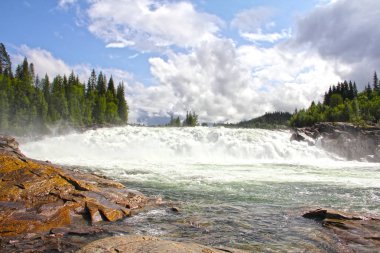 Yeşil ormanda şelale