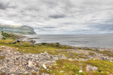 Kuzey Norveç peyzaj