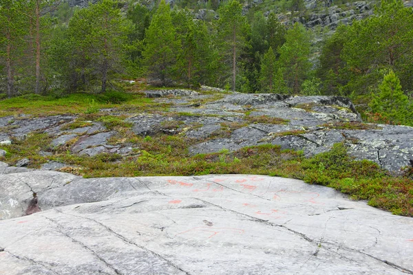 Ukiran batu di Alta — Stok Foto