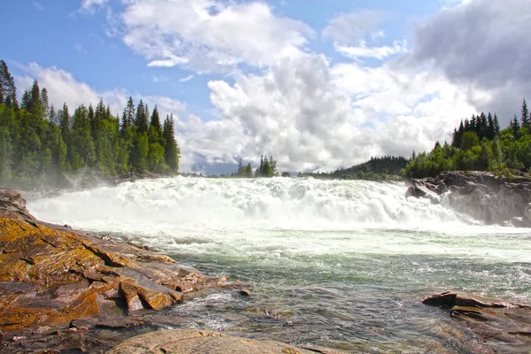 Yeşil ormanda şelale