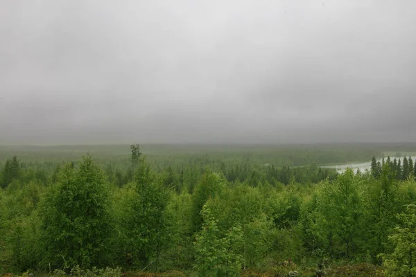 Noordelijke landschap met meer — Stockfoto