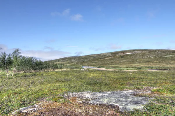 Bela paisagem de tundra no norte da Noruega no verão — Fotografia de Stock