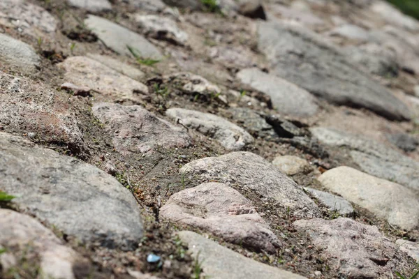 Pavimento de piedra con musgo — Foto de Stock