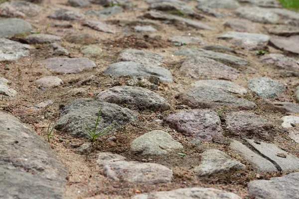 Каменный тротуар с мхом — стоковое фото