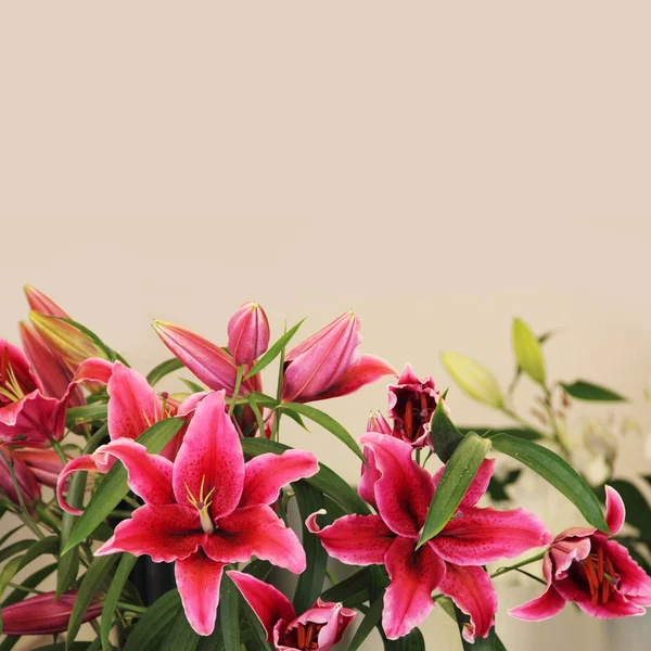 Pink lily flower bouquet — Stock Photo, Image