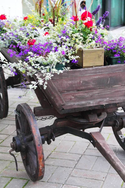 Stary wózek z kwiatami — Zdjęcie stockowe